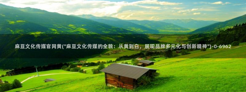 麻豆视频文章描述