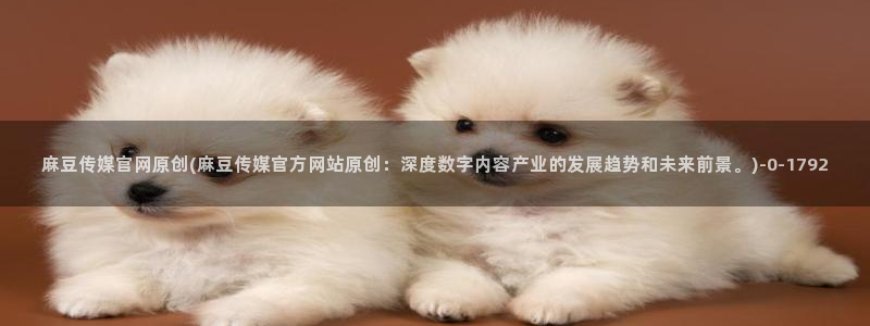 麻豆视频在线观看