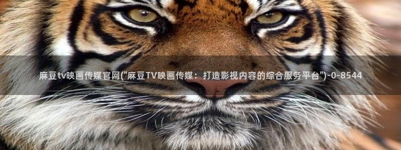 麻豆视频解说文案