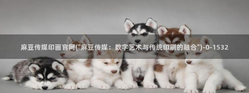 麻豆演员标题