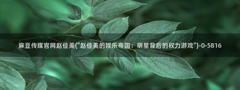 麻豆站点地图