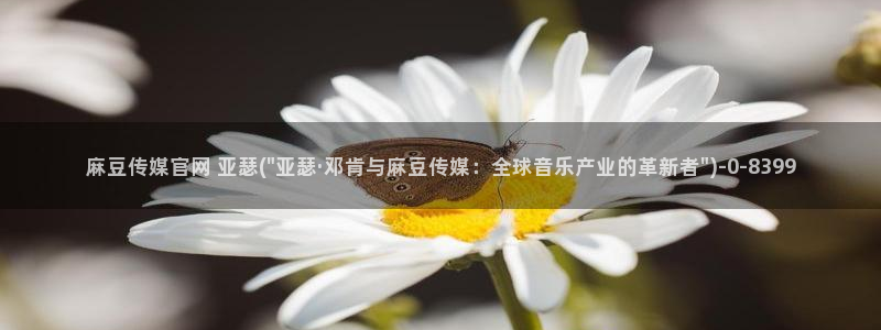 麻豆视频