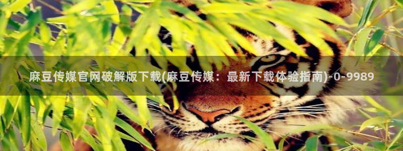 麻豆视频盘点
