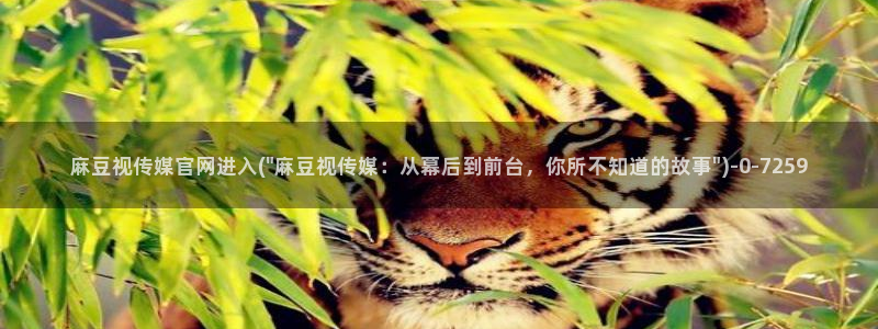 麻豆视频相关搜索