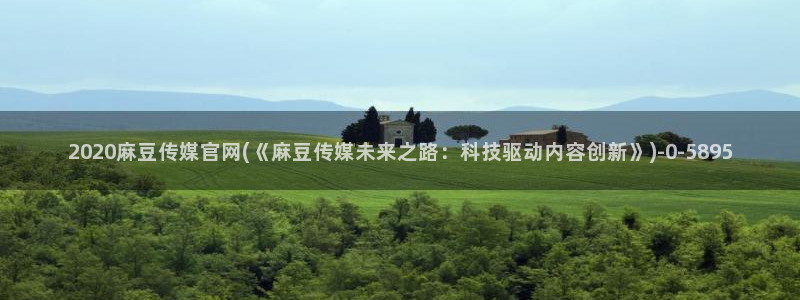 麻豆视频关于我们