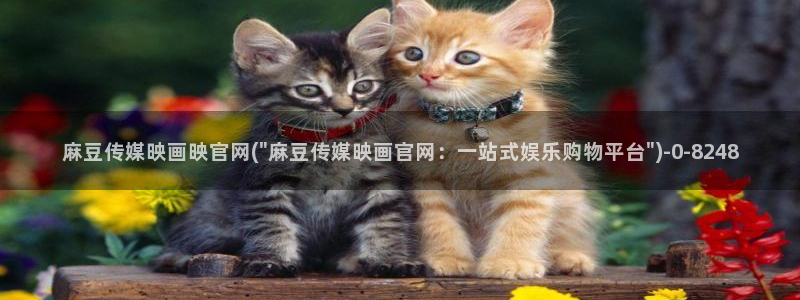 麻豆视频热门内容