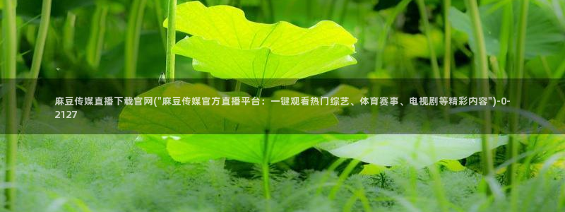 麻豆内容页