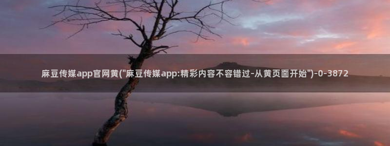 麻豆视频文章内容