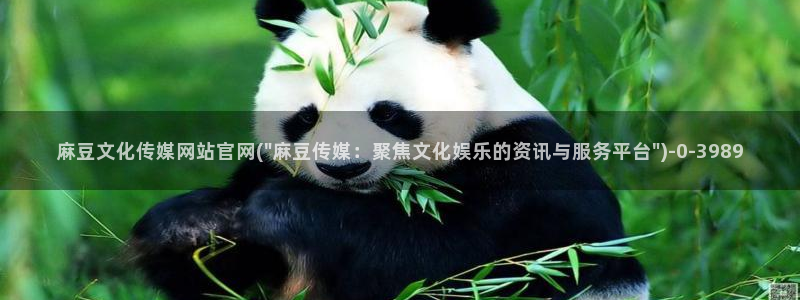 麻豆视频分类名称