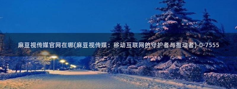 麻豆视频精准词
