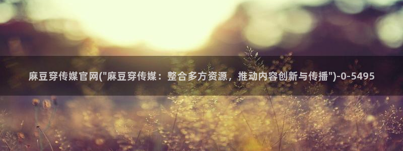 麻豆视频精准词