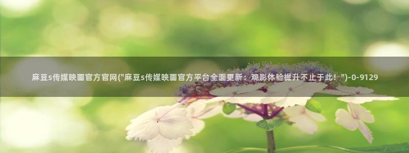 麻豆内容模板