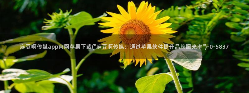 麻豆观看标题