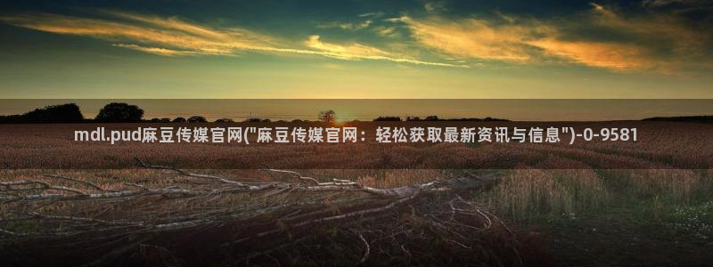 麻豆视频指南文案