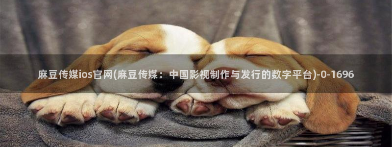 麻豆视频用户体验