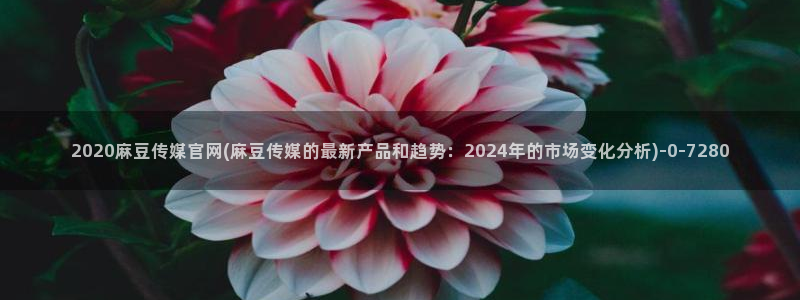 麻豆视频标题规则