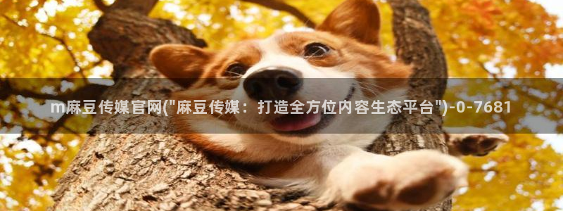 麻豆视频文章标题