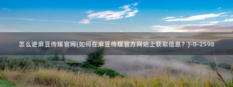 麻豆人物关系