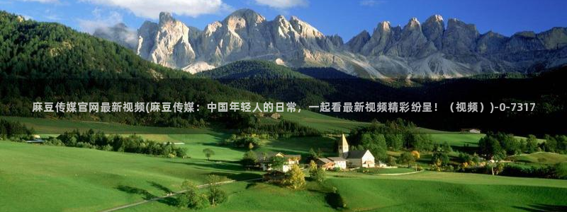 麻豆视频资料文案