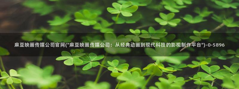 麻豆视频点评