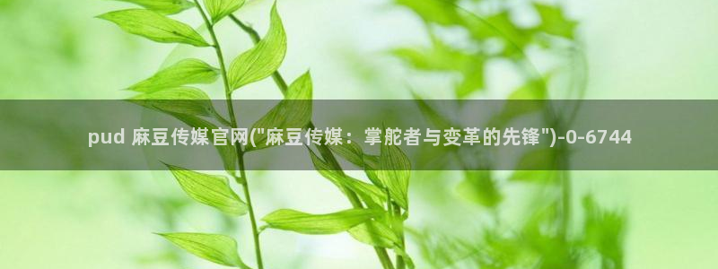 麻豆精选视频：pud 麻豆传媒官网(\