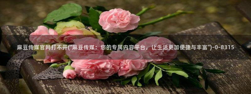 麻豆关键词库：麻豆传媒官网打不开(\