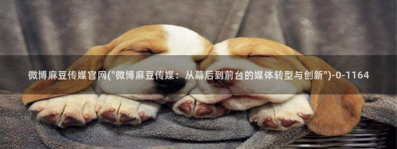 麻豆精选标题：微博麻豆传媒官网(\