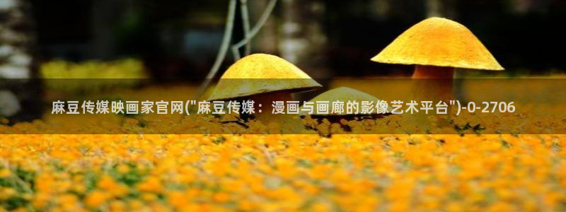 麻豆指南页