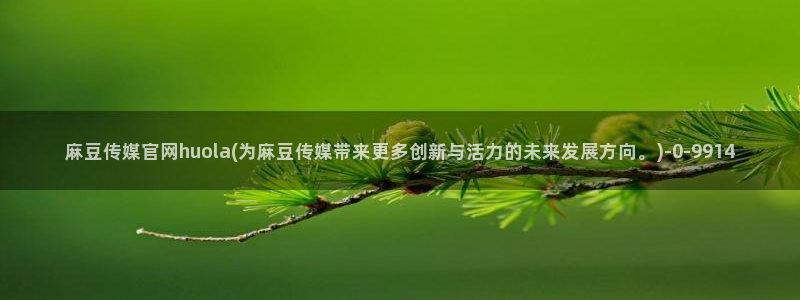 麻豆新片速递