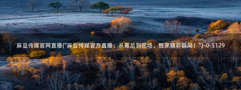 麻豆自定义库