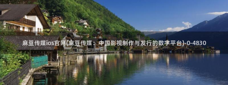 麻豆入门指南
